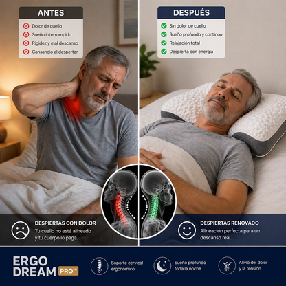 ERGODREAM PRO™